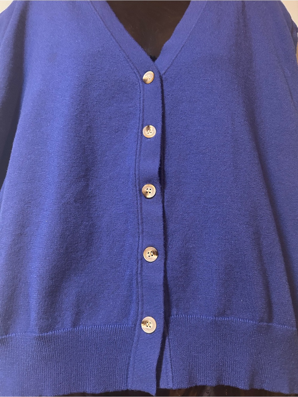 Classic V-Neck Button Front Sweater Vest - Blue - Picture 3 of 5